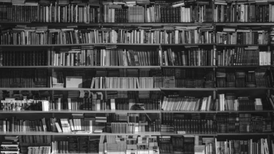 Photo of आधुनिक युग सुहाउँदो राष्ट्रिय पुस्तकालय पुरानो बसपार्कको निर्माणधीन भवनमा सार्न राष्ट्रपतिकहाँ ज्ञापन